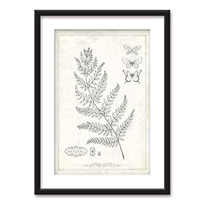 Framed Plant Small Leaves in Black White Butterflies...