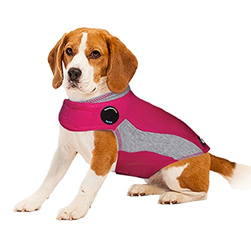 polo dog jacket