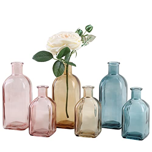 GMWD Glass Flower Vase Set of 6 Tall Clear Bud Vases, 14.5 Oz 8 Oz Apothecary Bottle Assorted Color Vases Decorative for Centerpieces Home Decoration Wedding Reception Table Decor