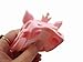 Generic Cute Fancy 3D Silicone Protective Pig Case Cover for iPhone 5 Pink