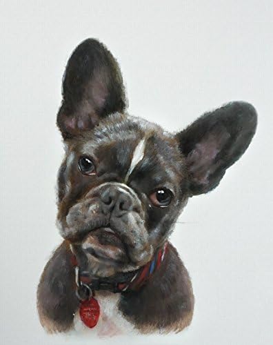 Custom Pet Painting From your Photo, Oil color Portrait ON artist canvas, Size 8X10 or larger (not framed)