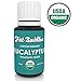 Organic Eucalyptus Essential Oil from Fat Buddha, USDA Certified, 100% Pure Therapeutic Grade, Ease Breathing, Reduce Cold Symptoms, Soothe Muscles, Sustainably Sourced, Small Batch Produced - 15ml