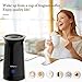 SIMPLETASTE Electric Frother (Magnetic Spinning), Non-Stick Ceramic Steamer with Cold&Hot Functionality, Automatic Shut-Off Foam Maker for Milk, Coffee, Cappuccinos, Hot Chocolates