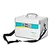 Ollieroo Locking Medicine Box,Key Lock Box for Medication,First Aid Storage Box for Emergency Supplies 7.7 x 7.9 x 12 inches Silver