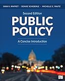 Public Policy: A Concise Introduction