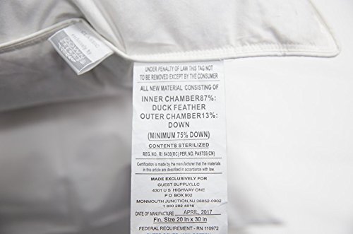 down dreams classic too