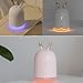 Cute Humidifier Cute Essential Oil Diffuser,220ml Aroma Essential Oil Cool Mist Humidifier with Quiet Operation,Waterless Auto Shut-off and 7 Color LED Lights Changing for Home Office Baby