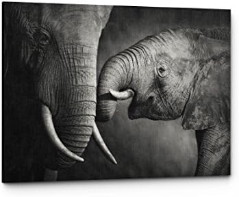 Black And White Elephant Animal Photography Canvas Wall Art Prints (17"W x 11"H, A Mother's Love)
