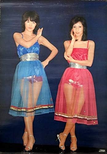 Amazon ピンクレディー ピンクタイフーン ポスター 二人組 女性アイドル アニメ 萌えグッズ 通販