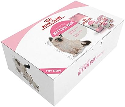 royal canin kitten box