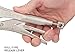 TEKTON 10 Inch Straight Jaw Locking Pliers | PLK00010