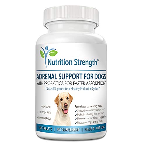 Nutrition Strength Adrenal Support for Dogs, Support for Dogs with