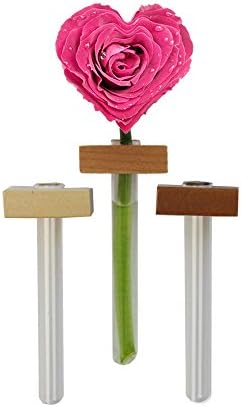 Garden Things Magnetic Flower Bud Vases 3 Pcs., One Size, Natural
