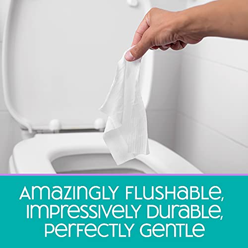 Nice 'N Clean SecureFLUSH Adult Flushable Wipes Moist Toilet Tissue