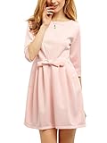 SheIn Women's Bow Pleated A-line Half Sleeve Sweet Skater Dress Large Pink