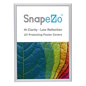 Image of SnapeZo Photo Frame 5x7 Inches, Silver 0.6 Inch Aluminum Profile, Front-Loading Snap Frame, Wall Mounting, Super-Slim Series