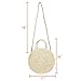 Women Straw Summer Beach Bag Handwoven Round Rattan Bag Cross Body Bag Shoulder Messenger Satchel
