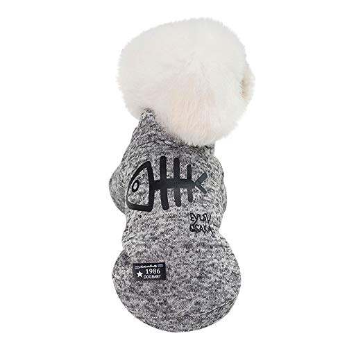 deesee pet dog cat winter