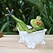 3D Creative Frog Figurine, Red Eyed Tree Frog Lying in The Bathtub, Novelty Frog Collectibles Funny Decor for Bathroom Home Desk