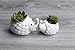 A Pair of Hedgehog White Ceramic Succulent Planter Pots/Mini Flower Plant Containers