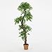 EPESTOEC 6FT Artificial Ficus Silk Tree (70in) with Plastic Nursery Pot, Fake Plant for Living Room Balcony Corner Decor,Indoor-Outdoor Use