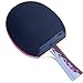 DHS X4002 4-Star Table Tennis Racket (Shakehand)