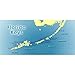 Florida Salt Scrubs Authentic Hand Made Soap, 4 Ounce, Key Lime