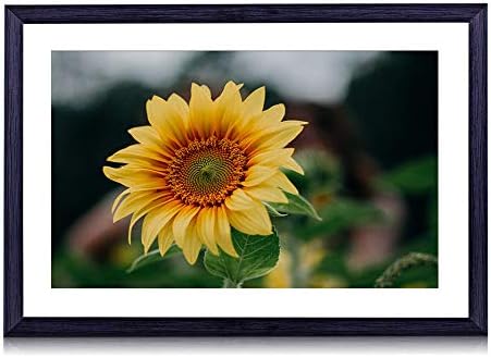 80cmx60cm) 木製の黒色のフォトフレーム (ひまわりの花畑夏) 壁掛け 壁飾り 壁ポスター