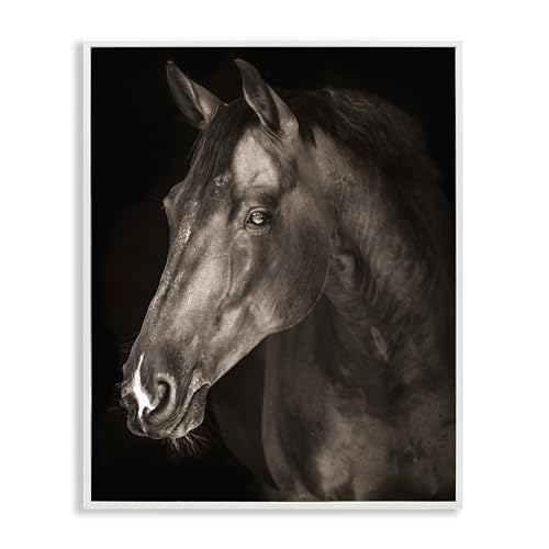 Stupell Industries Strong Stallion Horse Portrait White Framed Giclee Art desig…