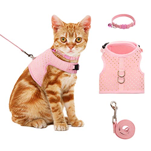 bingpet cat harness