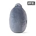 BT21 Van Character Plush Stuffed Animal Cute Face Toy Pillow Room Décor, 16.5 Inch, Grey