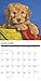 Just Goldendoodle Puppies 2020 Wall Calendar (Dog Breed Calendar)