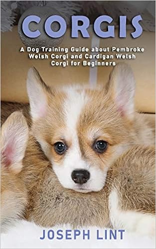 well corgi