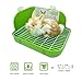 RUBYHOME Rabbit Litter Box Toilet, Plastic Square Cage Box Potty Trainer Corner Litter Bedding Box Pet Pan for Small Animals, Rabbits, Guinea Pigs, Chinchilla, Ferret, Galesaur, 11.4 Inches (Green)