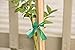 Gardener's Blue Ribbon T006B Sturdy Stretch Tie