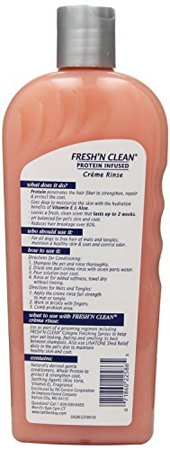 Fresh 'N Clean Classic Shampoo & Creme Rinse Bundle: (1) Fresh 'N Clean Classic Fresh Scented Shampoo, and (1) Fresh 'N Clean Classic Fresh Scented Creme Rinse, 18 Oz. Ea.z.)