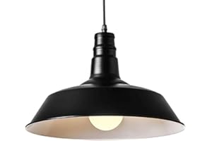 YGZPALH Farmhouse Industrial Pendant Lamp 18.1'' Black American Modern Fixtures E26 Socket Indoor Dome Hanging Light Fixtures