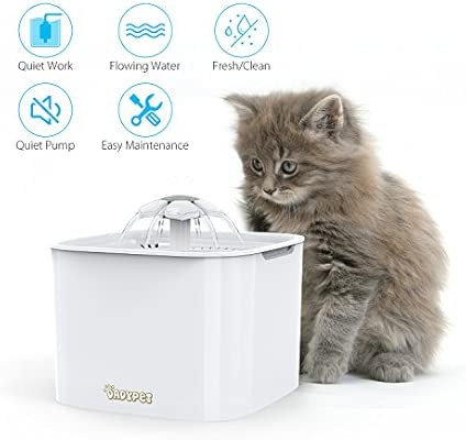 Dadypet Fontaine à Eau Pour Chat Chien Fontaine à Fleur Pour Chat Distributeur Eau Pour Chat Avec Filtre 2l électrique Et Silencieuse