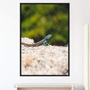 signwin Framed Canvas Wall Art Reptile Contemporary Dramatic...