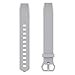 GreenInsync Fitbit Alta Accessory Band, Classic Alta HR Replacement Band Small Watch Buckle Wristbands for Fitbit Alta/Fitbit Alta HR Strap Bracelets W/Same Color Metal Clasp and Fastener (Gray)