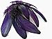 Moonlight Feather | 1 Dozen - Purple Whiting Farms Laced Hen Saddle Feathers Craft Halloween Fly Tying