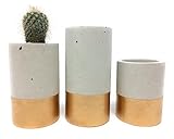 Concrete Succulent Planters/Air Plant Holders. Urba planters (set of 3) Gold.