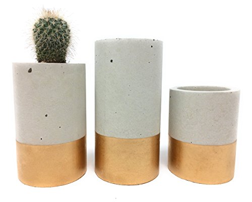 Concrete Succulent Planters/Air Plant Holders. Urba planters (set of 3) Gold. Cement Succulent pots. Modern Planter set