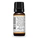 Plant Therapy Autumn Breeze Fall Essential Oil Blend 10mL (1/3 oz) Sweet Citrus & Floral Scent, Uplifting & Cheerful, Brings The Sense of Autumn Indoors