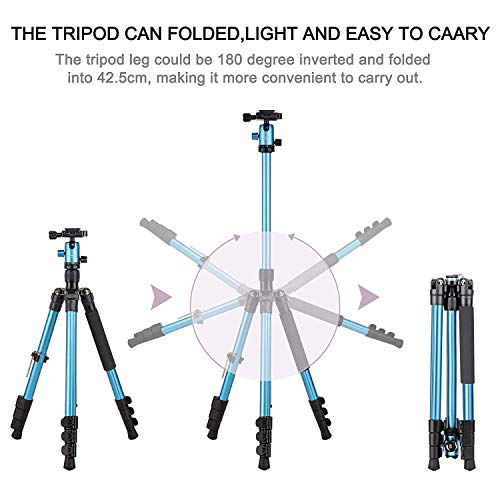 Zomei M3 Tripod Travel Monopod Lightweight Compact with 360 Degree Ball Head and Carry Bag for DSLR Canon, Nikon, Sony Camera (Blue)