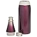 Aladdin Fresco Twst Vac Btl, Amethyst SS Stainless Steel Cafe to Go Bottle | 20oz, 20 oz
