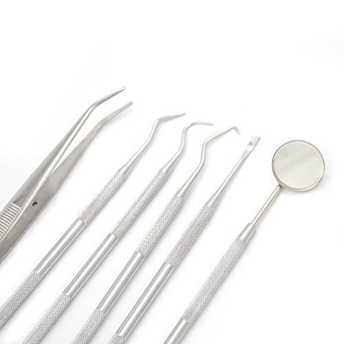 1 Set/6 Pcs Professional Dental Hygiene Kit with Bag for Personal Use Tooth Scraper Dental Inspection Mirror Tartar Calculus Plaque Remover