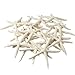 Nautical Crush Trading Starfish Decor - Real 4-5