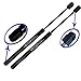 Two Rear Trunk Lid Gas Charged Lift Supports for 1998-2013 Corvette Convertible, 1999-2000 Corvette Base Coupe, 2001-2004 Corvette Z06 Coupe. WGS-175-2