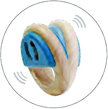 plan toys tambourine